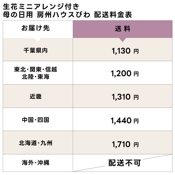 【母の日】生花ミニアレンジ付 房州ハウスびわ3Lギフト