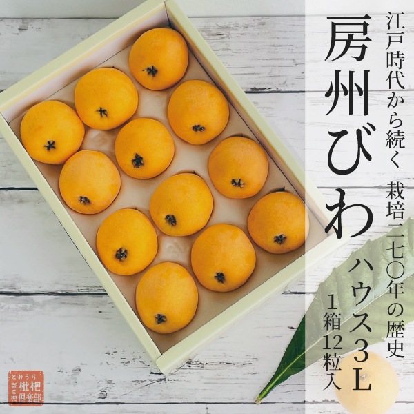 房州ハウスびわ3L（1箱：12粒入）