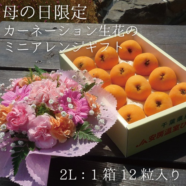 【母の日】生花ミニアレンジ付 房州ハウスびわ2Lギフト