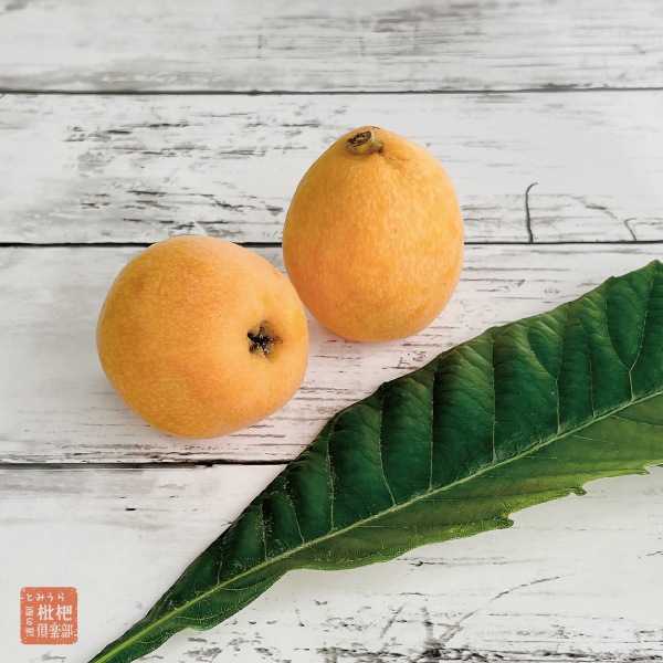 【母の日】生花ミニアレンジ付 房州ハウスびわ2Lギフト