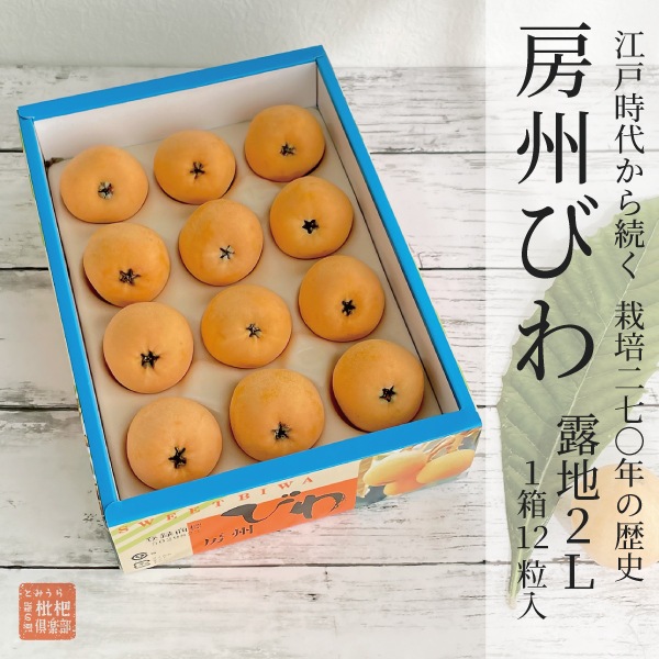 房州露地びわ2L（1箱：12粒入）