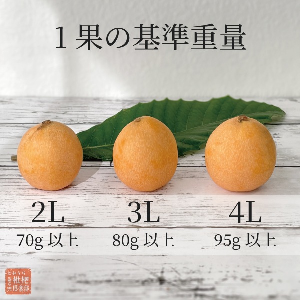 房州露地びわ2L（1箱：12粒入）