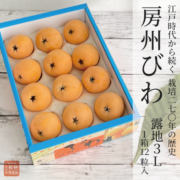 房州露地びわ3L（1箱：12粒入）