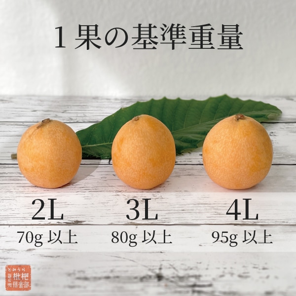 房州露地びわ3L（1箱：12粒入）