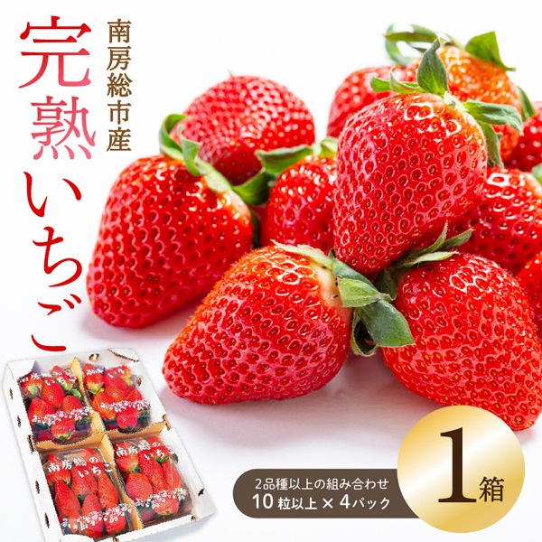 南房総市産 完熟いちご食べ比べセット（4パック2品種以上入）
