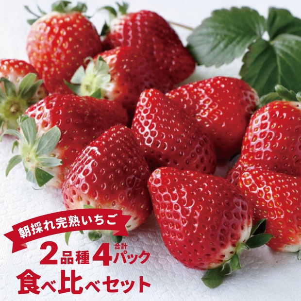 南房総市産 完熟いちご食べ比べセット（4パック2品種以上入）