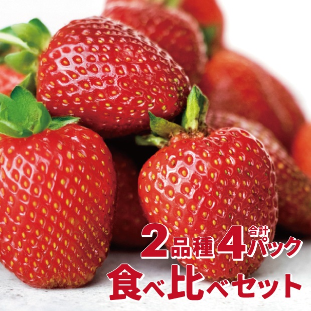 南房総市産 完熟いちご食べ比べセット（4パック2品種以上入）