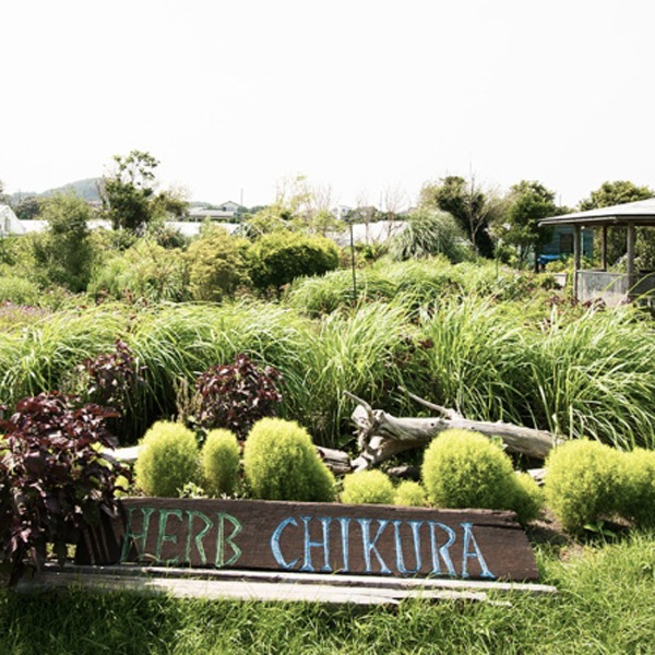 ハーブティ タイプが選べるアソートセット【AWA RETREAT】