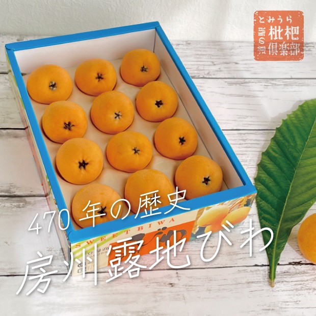 房州びわ(露地)2L《LIVE視聴者限定特典あり》