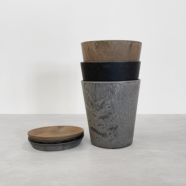 【小型観葉】ペペロミア・セルペンスグリーン S*Plants