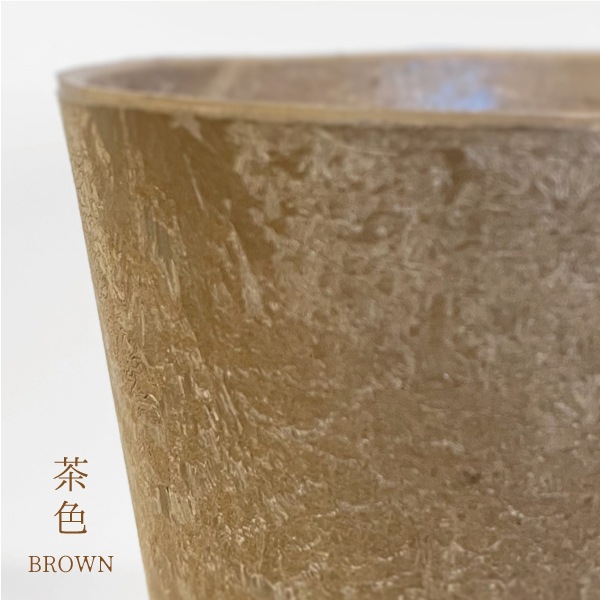 【小型観葉】ペペロミア・セルペンスグリーン S*Plants