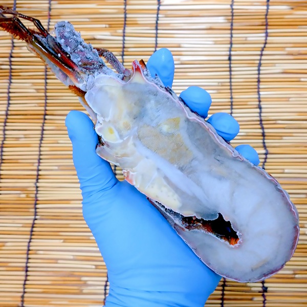 【東安房漁協】活締冷凍伊勢えびハーフカットLサイズ1kg（加熱用）