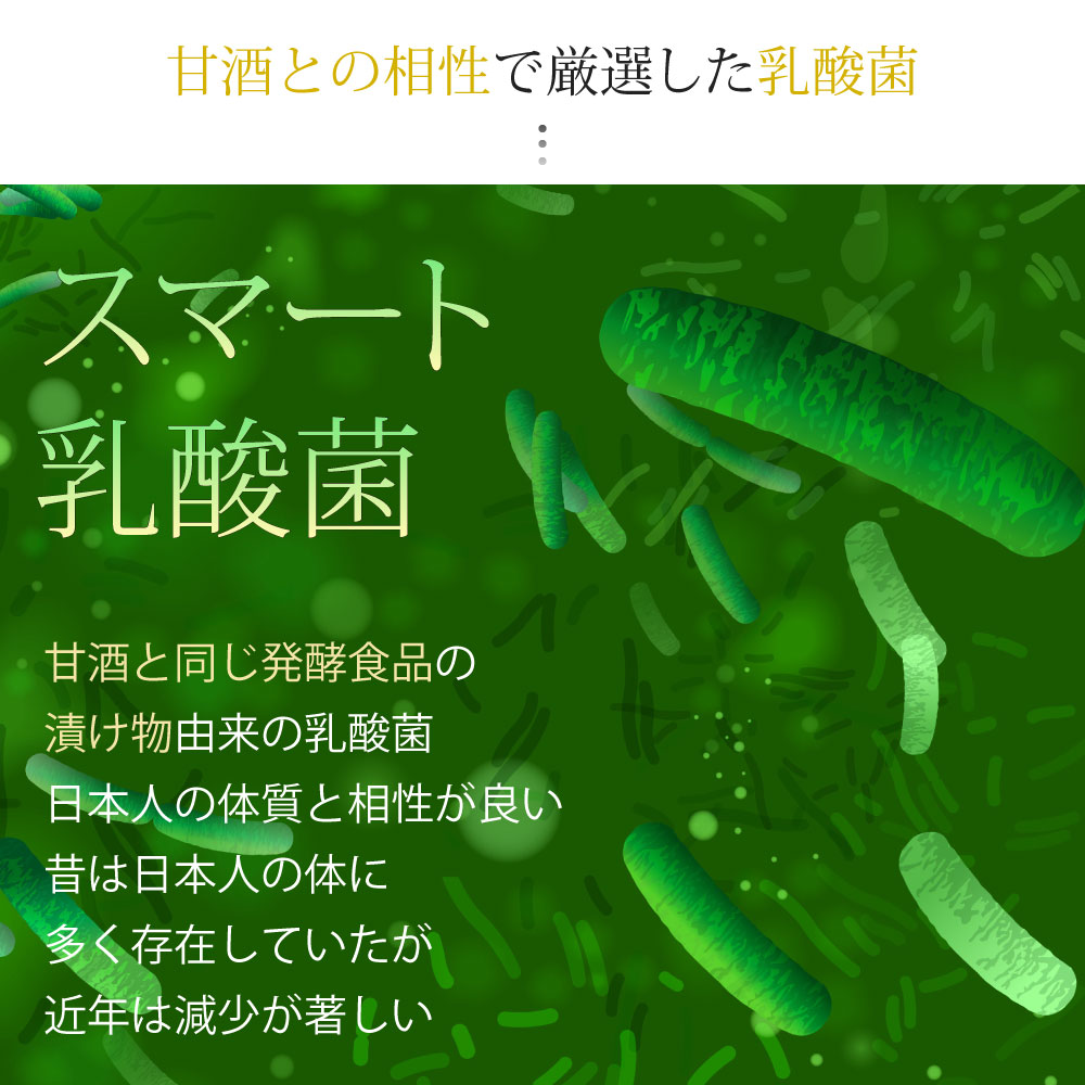 画像をギャラリービューアに読み込む, SALONwo DELI（サロンヲデリ） 発酵シロップ 500g【感謝祭】