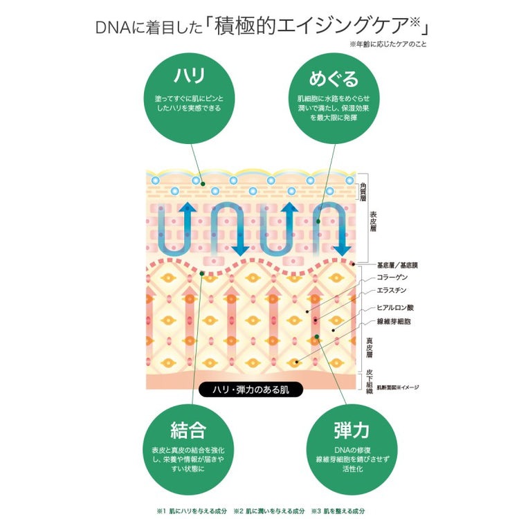 画像をギャラリービューアに読み込む, LABO+(ラボプラス) マッサージクリームパック 270g【業務用】