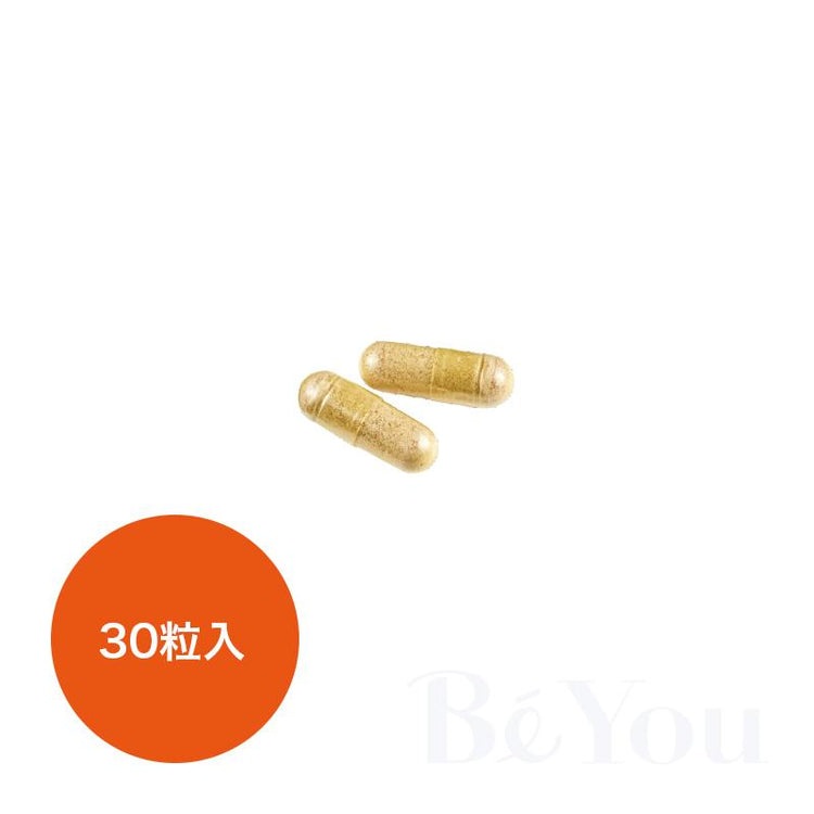 画像をギャラリービューアに読み込む, BE-MAX the SUN 30粒入 1箱