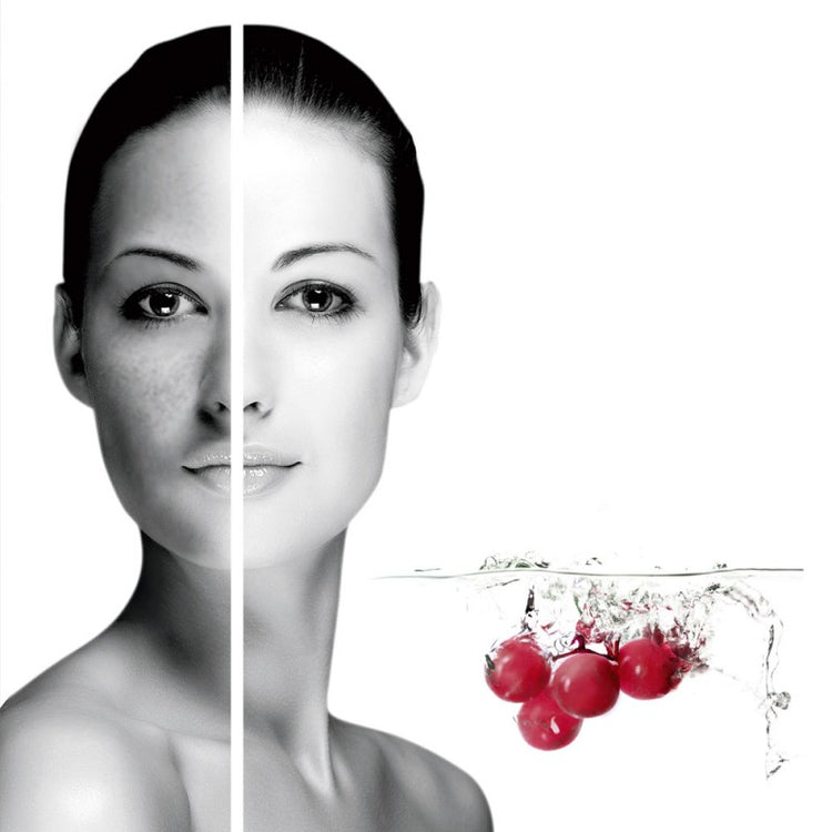 画像をギャラリービューアに読み込む, マサダ ホワイト エマルジョン【3種類まで】【サンプル】