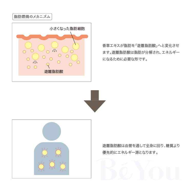 画像をギャラリービューアに読み込む, SVELTE HERBS BURNING 3