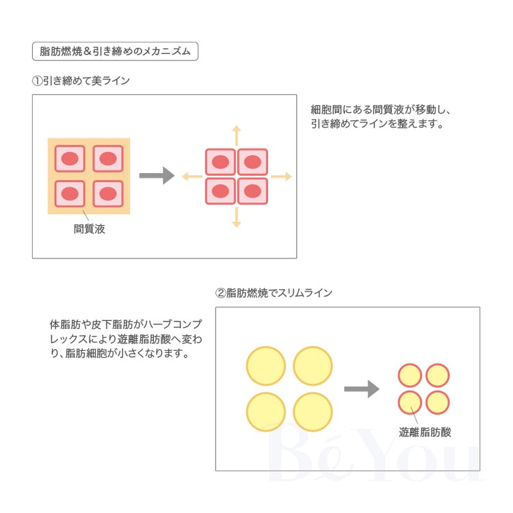 スベルトローション トゥエンティミニッツ 100ml×3本入り SVELTE HERBS 20M 100mL×3本 | ボディ用品 | エステサロン用品