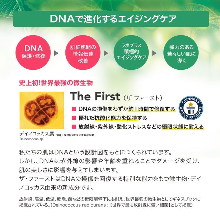 画像をギャラリービューアに読み込む, LABO+(ラボプラス) Rルースパウダー 5g【店販用】