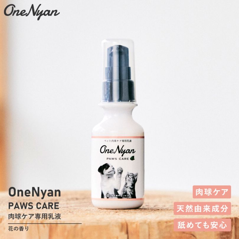 【レビュープレゼント中】OneNyan パウズケア 50g（ON-PC）0206-ONP050