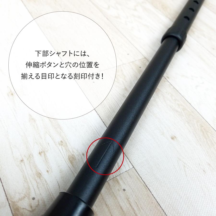 �ԥ�����å׿��̾��ST-PG��