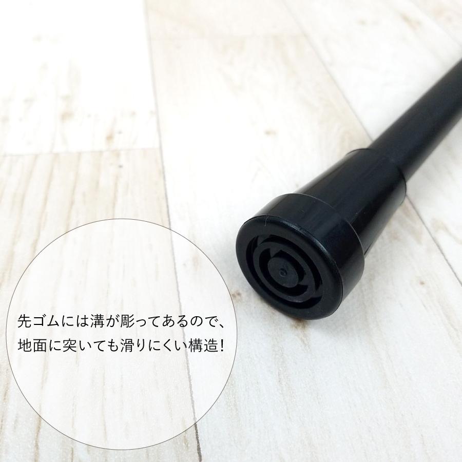 �ԥ�����å׿��̾��ST-PG��