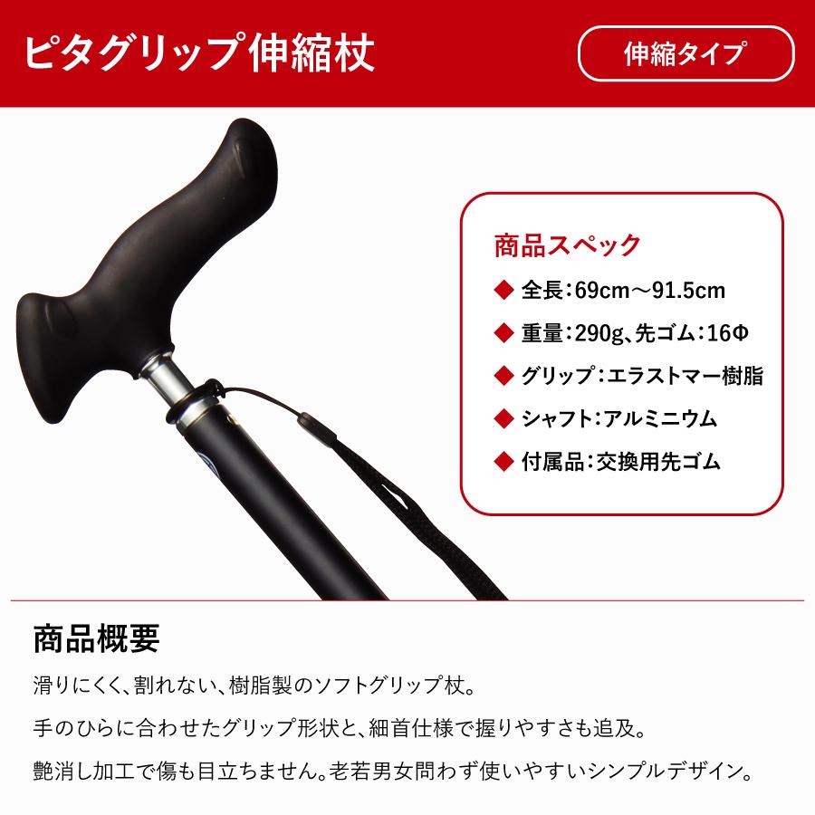 �ԥ�����å׿��̾��ST-PG��