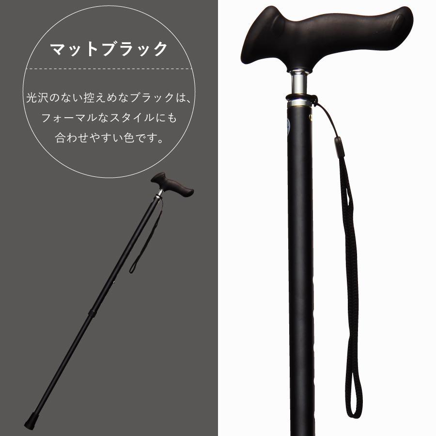 �ԥ�����å׿��̾��ST-PG��