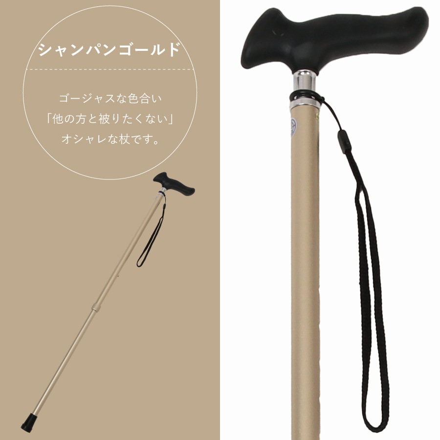 �ԥ�����å׿��̾��ST-PG��