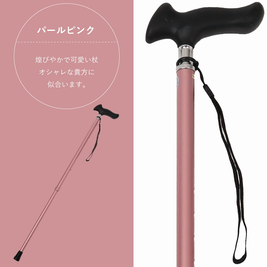 �ԥ�����å׿��̾��ST-PG��