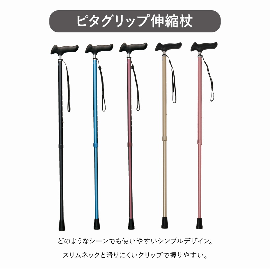 �ԥ�����å׿��̾��ST-PG��