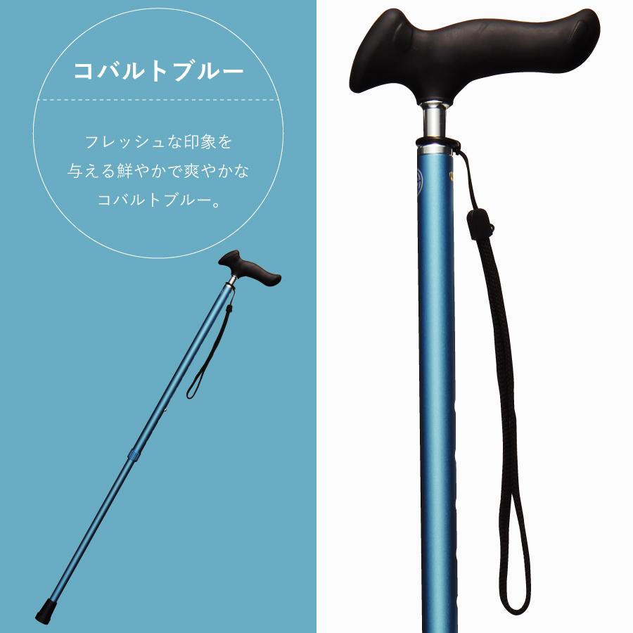 �ԥ�����å׿��̾��ST-PG��