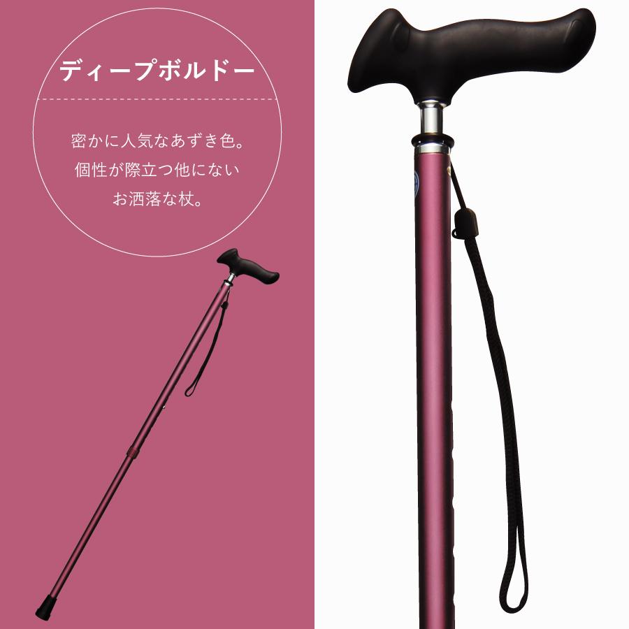 �ԥ�����å׿��̾��ST-PG��