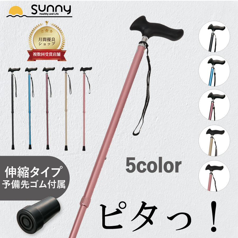 �ԥ�����å׿��̾��ST-PG��