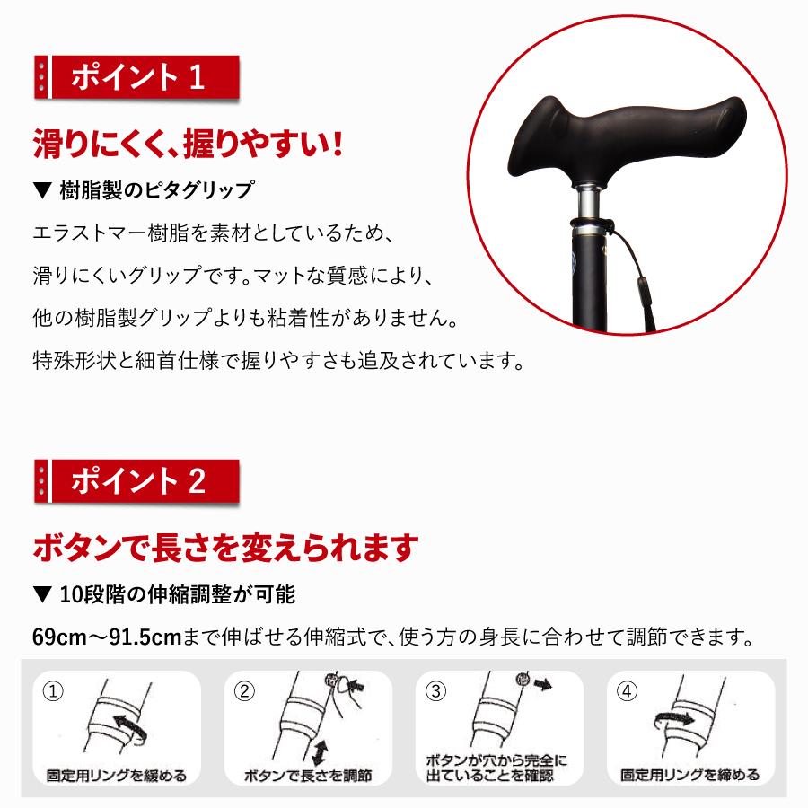 �ԥ�����å׿��̾��ST-PG��