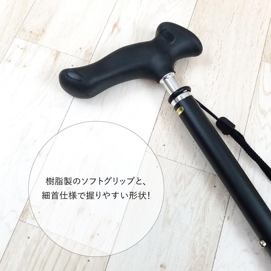 �ԥ�����å׿��̾��ST-PG��