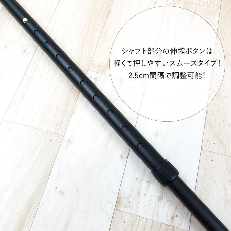 �ԥ�����å׿��̾��ST-PG��