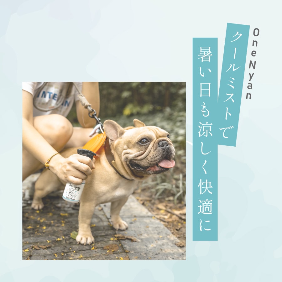 OneNyan ߥ 100mlON-OCM0206-OCM100