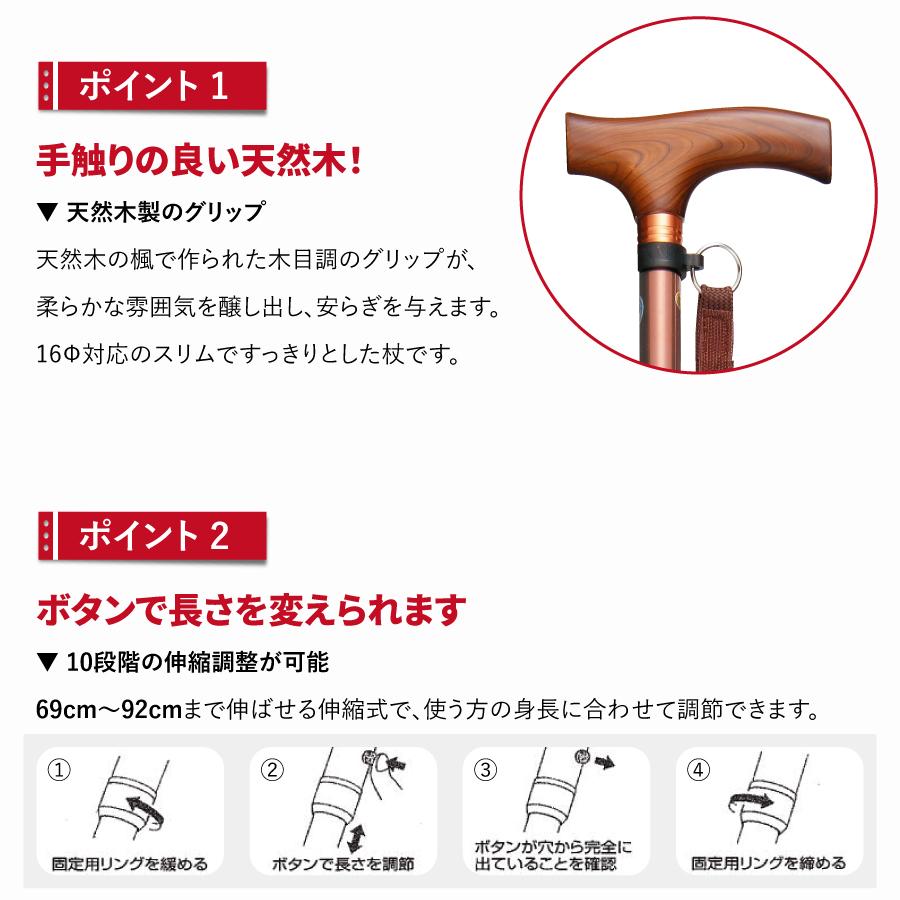 ����࿭�̾��ST-SS��