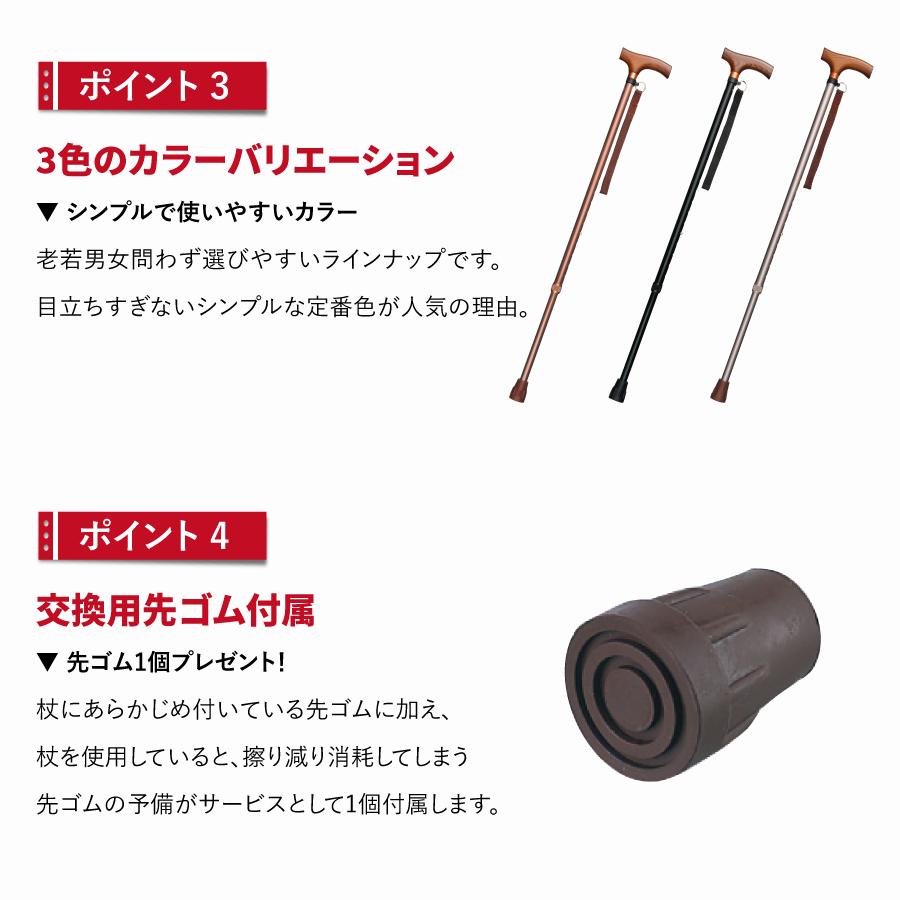 ����࿭�̾��ST-SS��