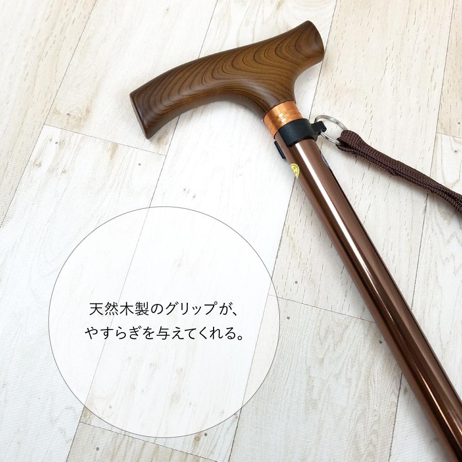 ����࿭�̾��ST-SS��