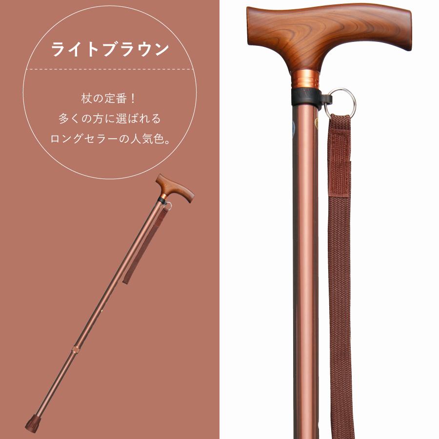 ����࿭�̾��ST-SS��