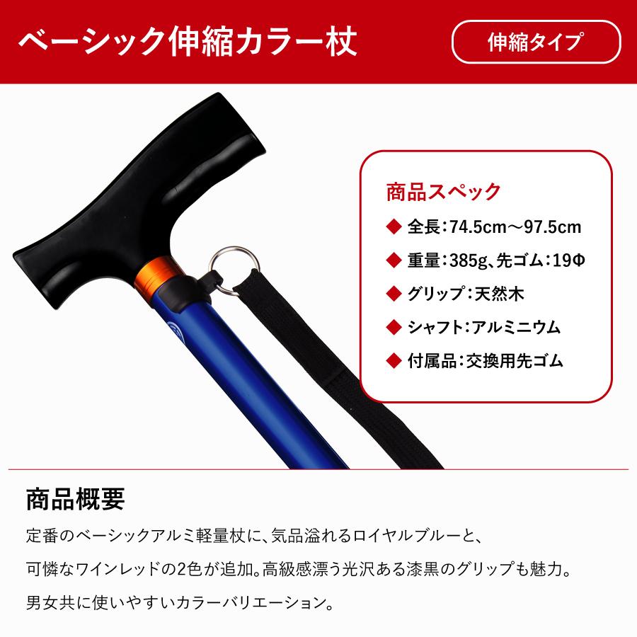 �١����å����̥��顼���ST-BSC��