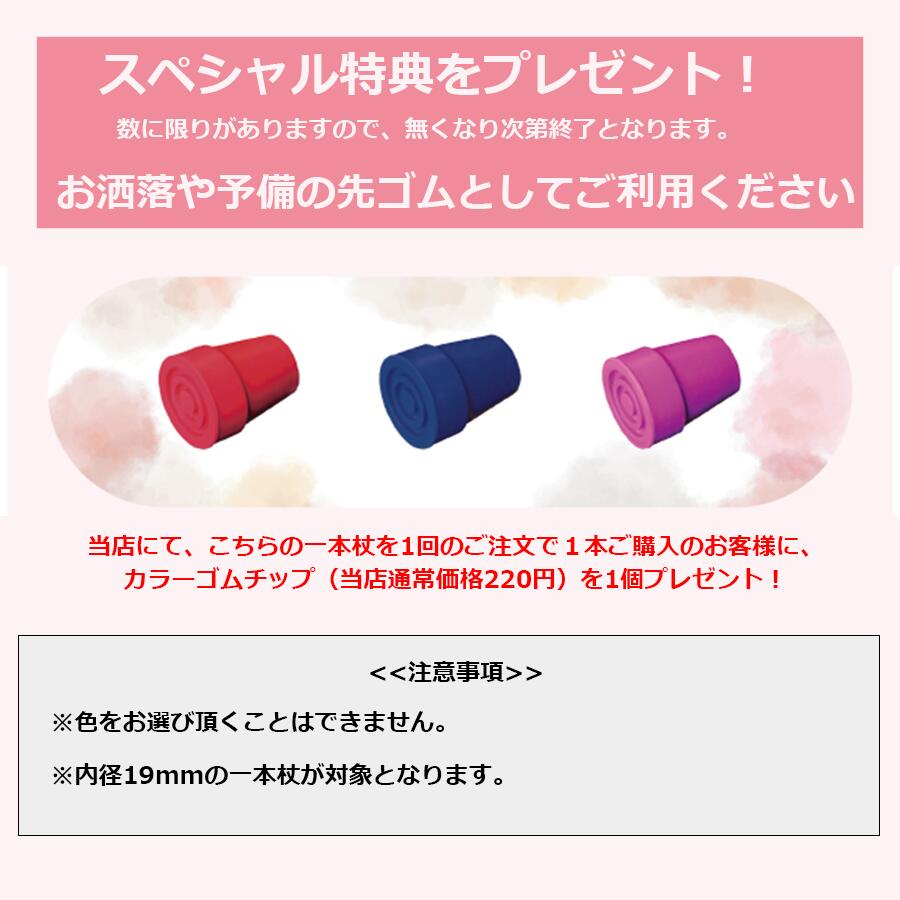 �١����å����̥��顼���ST-BSC��