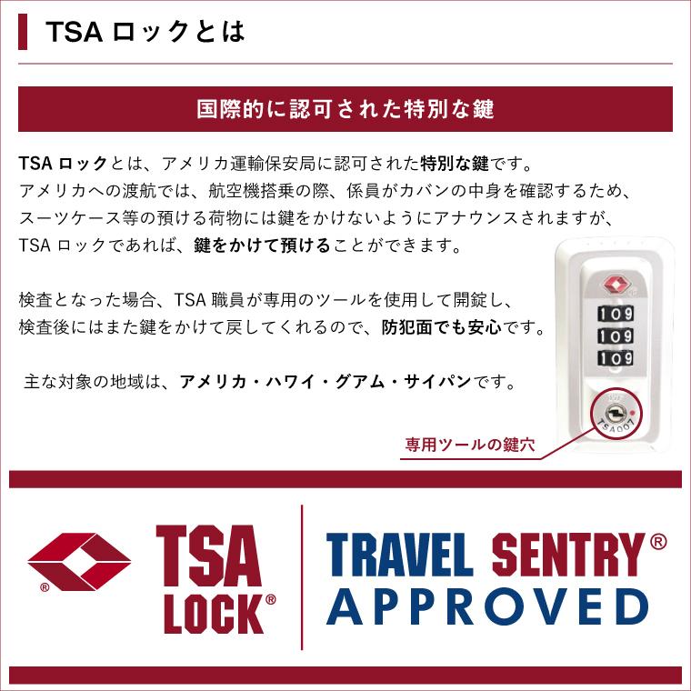 �����ĥ����� �ͥ�������GS-AY-SCM��