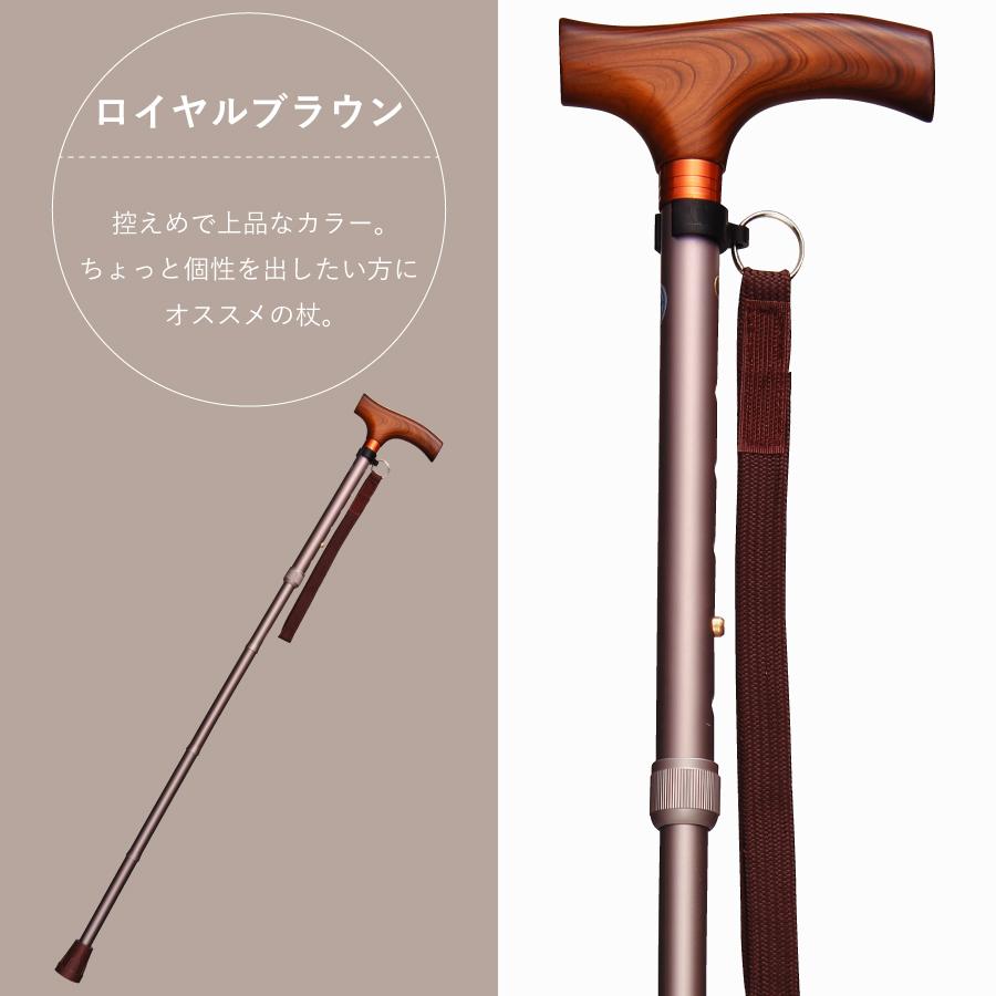 �ڥ�ӥ塼�ץ쥼�����ۥ���࿭���ޤꤿ���߾��ST-SO��