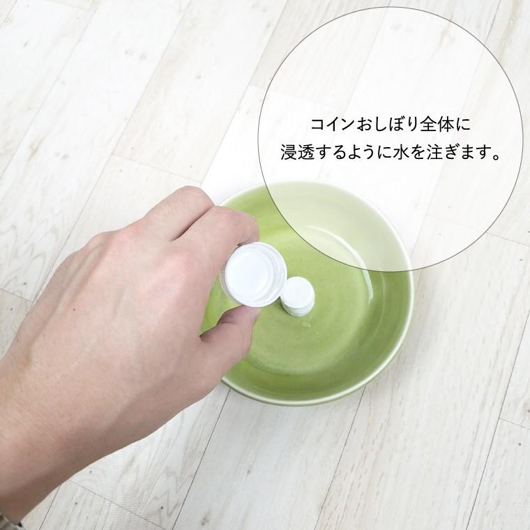 �����󤪤��ܤ� 8������ 50�ޥ��åȡ�GS-CO50��