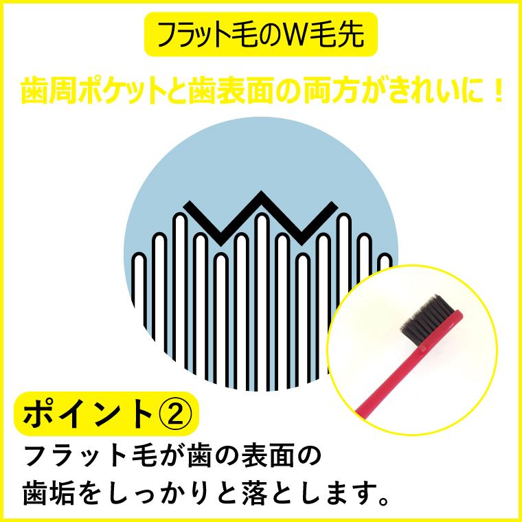 ��Ĺú���֥饷 Eco Slim 5�ܥ��åȡ�GS-ESB-5��