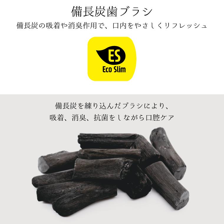 ��Ĺú���֥饷 Eco Slim 10�ܥ��åȡ�GS-ESB-10��