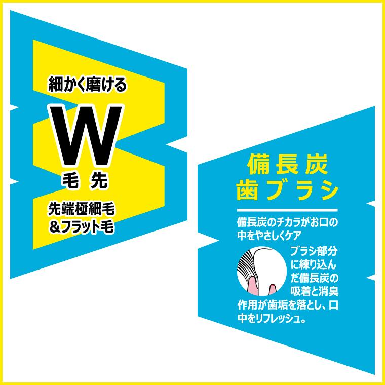 ��Ĺú���֥饷 Eco Slim 10�ܥ��åȡ�GS-ESB-10��